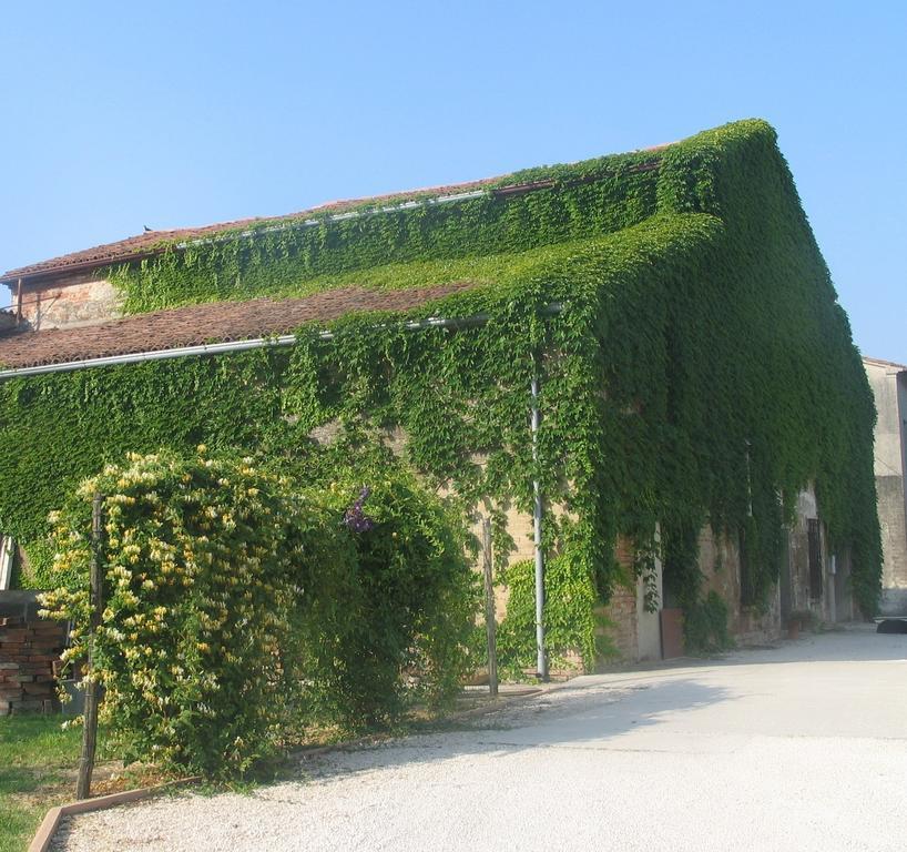 Agriturismo Ca Rossa 페고냐가 외부 사진